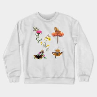 Quartet Butterfly Floral Crewneck Sweatshirt